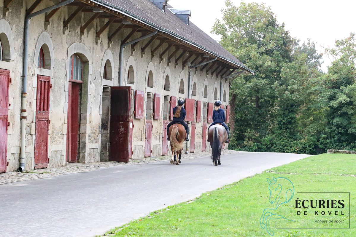 ecuries de kovel_11