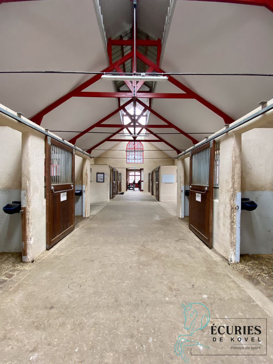 ecuries de kovel_18