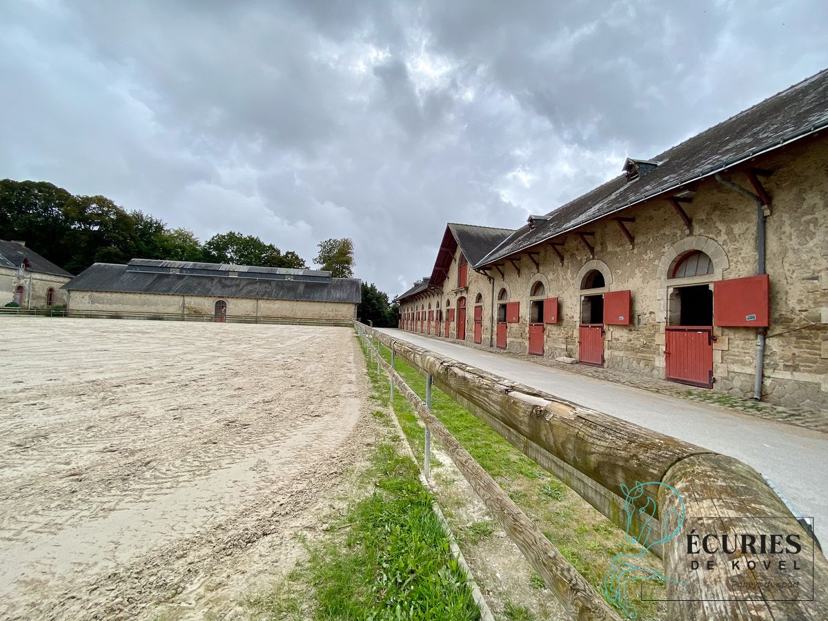ecuries de kovel_2