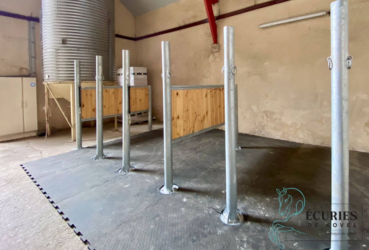ecuries de kovel_3