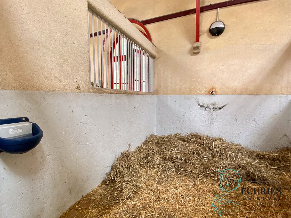 ecuries de kovel_4