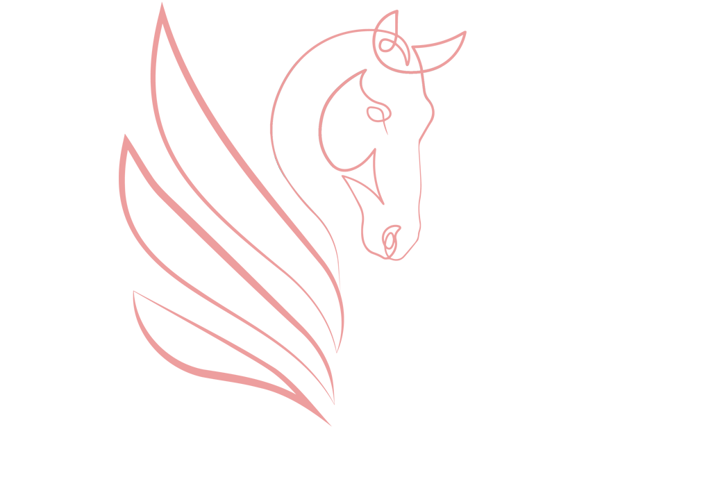 Pegase sellerie